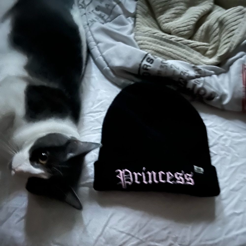 princesss beanie